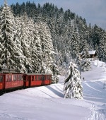 Train in the snow