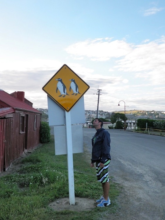 Placa de estrada de pinguïn na Nova Zelandia