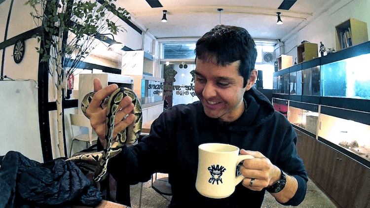 Cafe dos Repteis e cobras em Jeonju