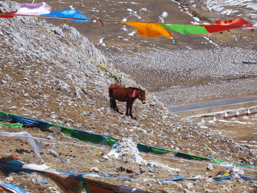 Bandeiras de oração Budistas com cavalo em Montanha Sagrada em Litang Tibete China