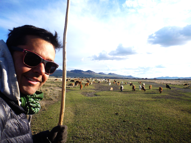 Pastoreio na Mongólia