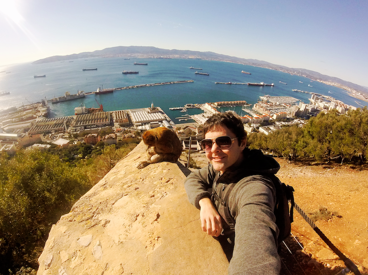macacos Gibraltar