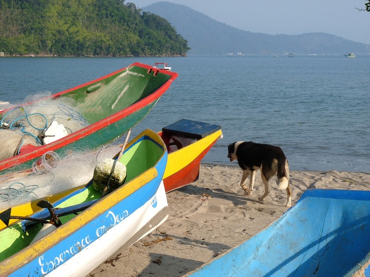 LANCHA CLAUDIO (Ubatuba) - All You Need to Know BEFORE You Go