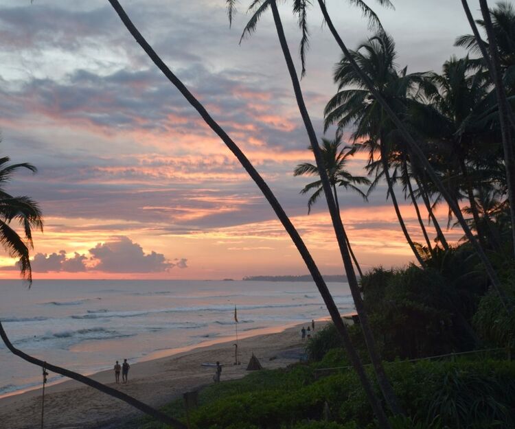 10 Melhores Coisas para Fazer no Sul do Sri Lanka - Principais Atrações