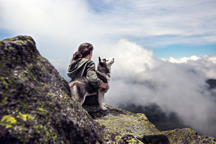 6 Dicas para Viajar com seu Cachorro sem Estresse