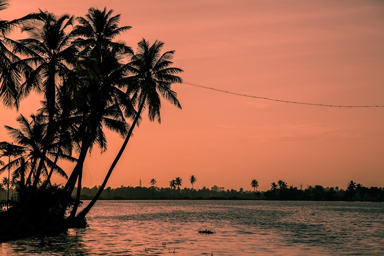 16 Melhores Coisas para Fazer em Cochin, Kerala - Índia
