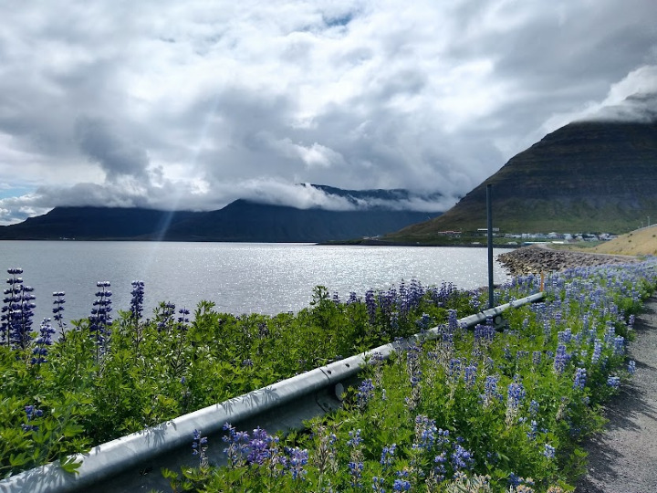Como Ter Um Dia Cheio de Natureza em Isafjordur, Islândia 