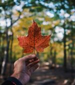 Férias no Canadá