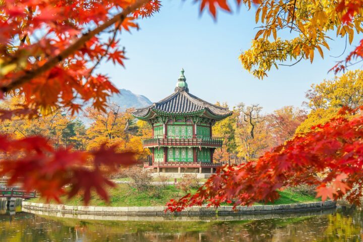 13 Melhores Excursões e Itinerários para Explorar a Coreia do Sul (com Preços e Empresas)