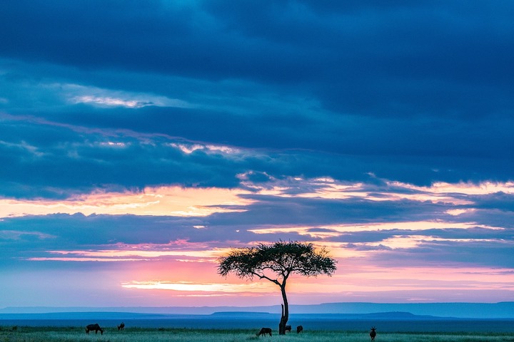 Explore o Quênia