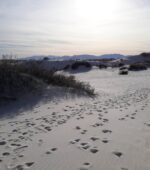 parque nacional de white sands