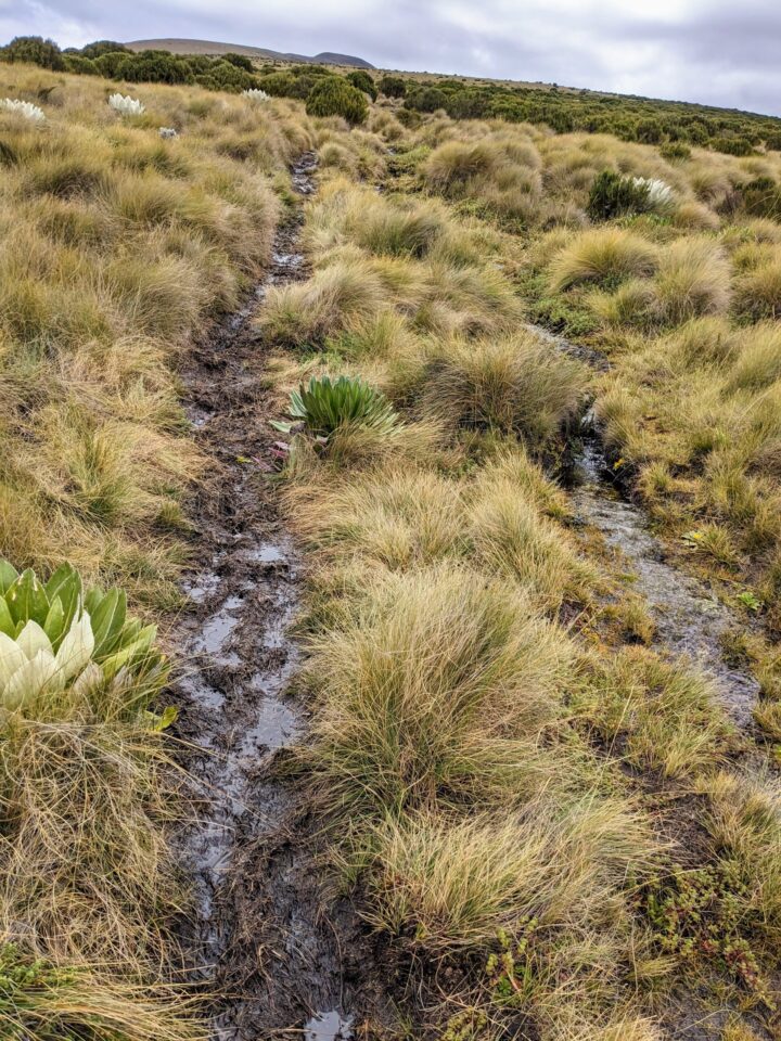 lama monte quênia caminhada chuva