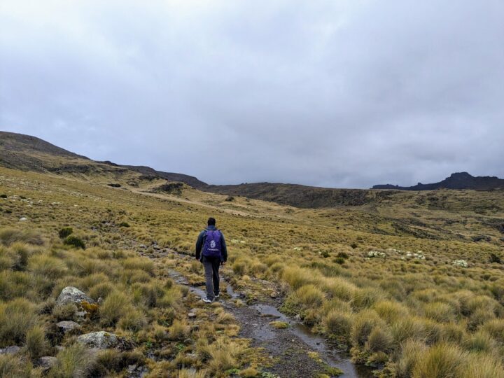 monte quênia colina