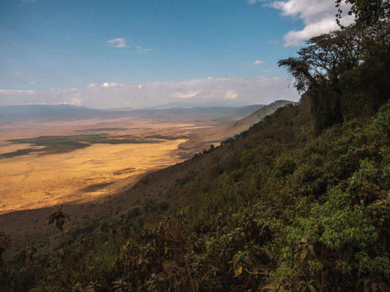 Ngorongoro