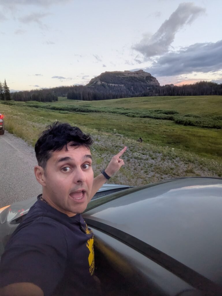 urso pardo no Wyoming