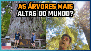 viajar para as Redwoods Califórnia