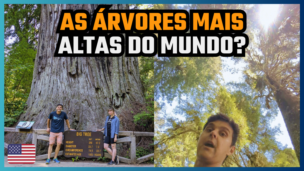 viajar para as Redwoods Califórnia